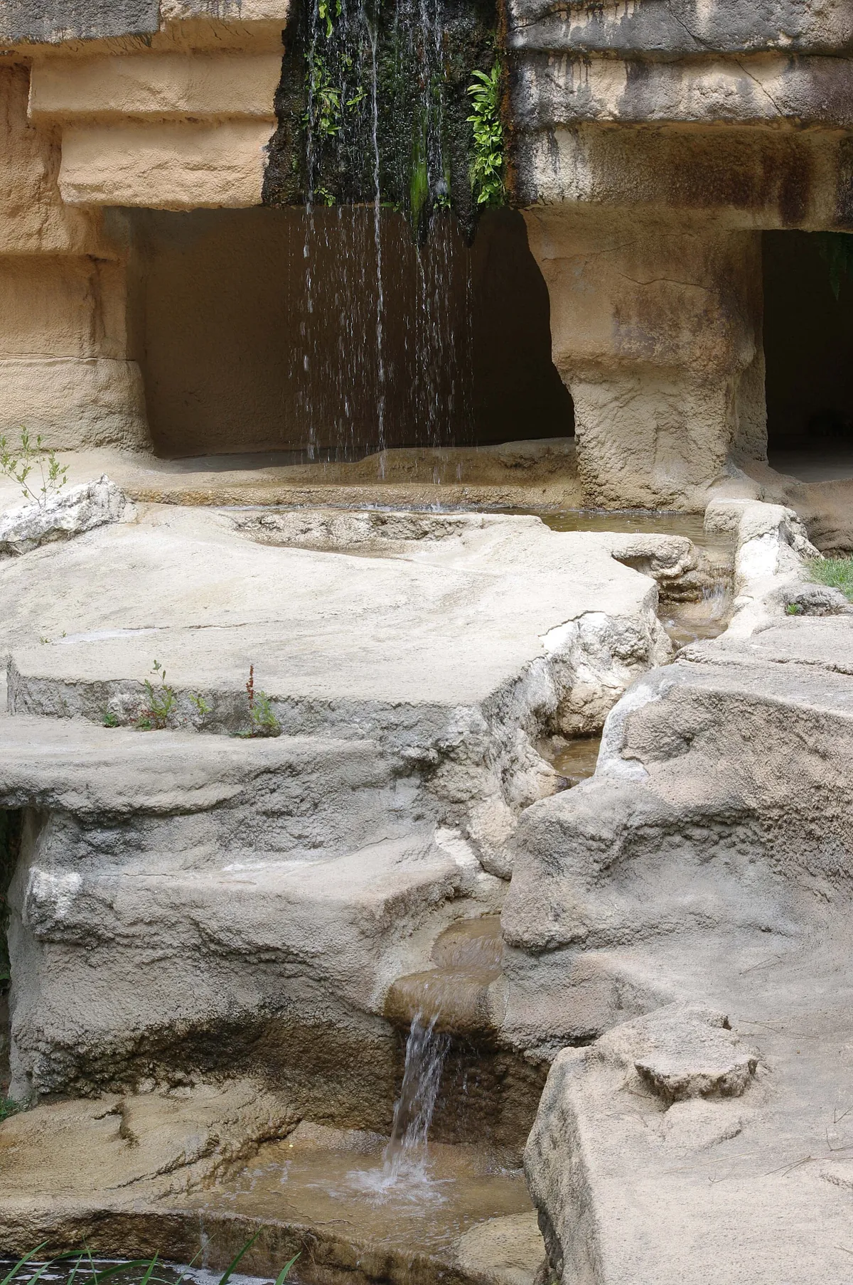 Palmyre Zoo