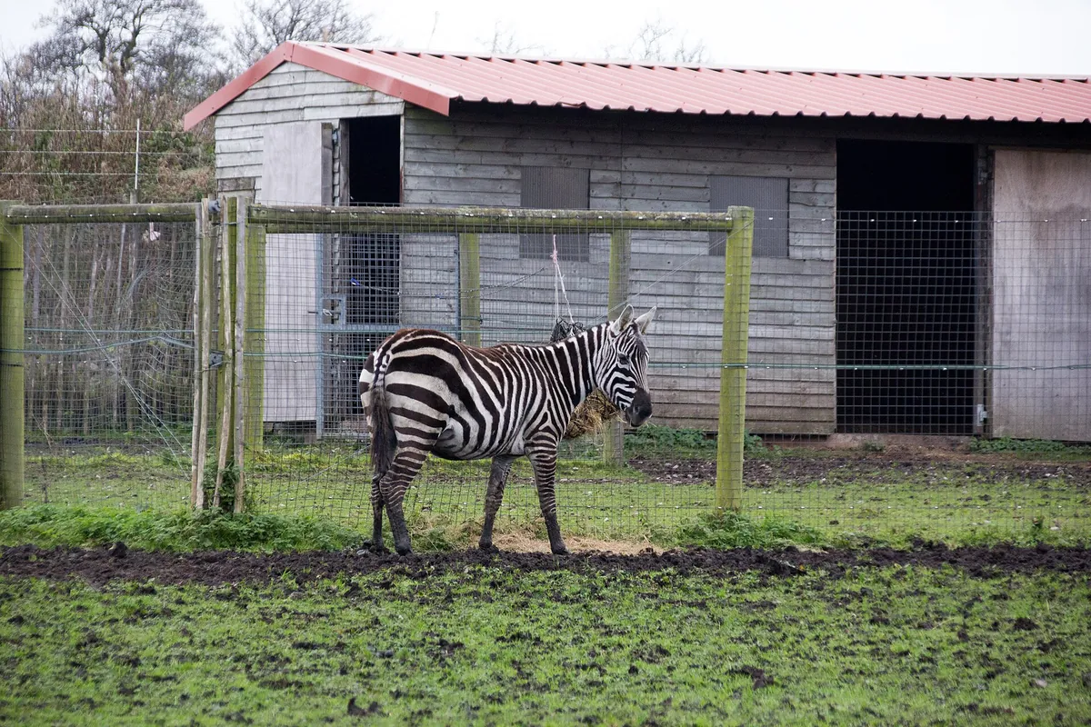 Peak Wildlife Park