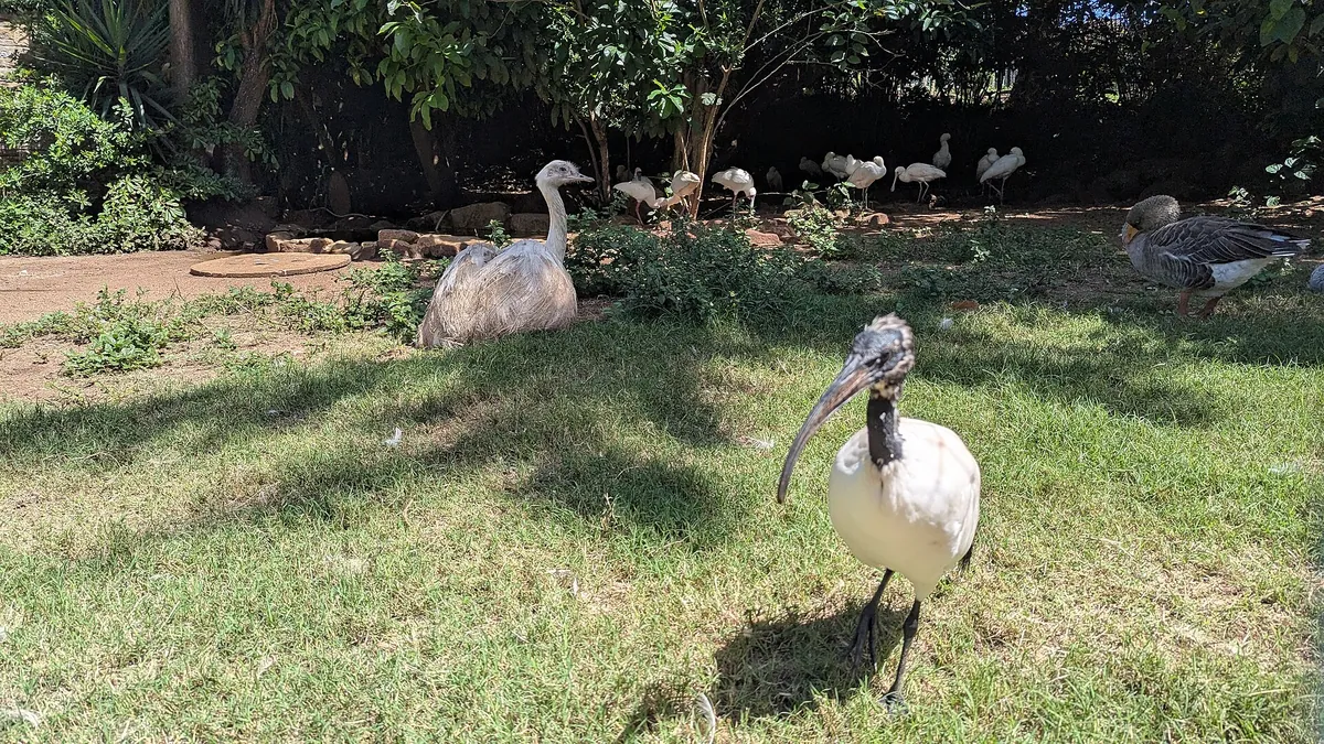 Mitchell Park Zoo