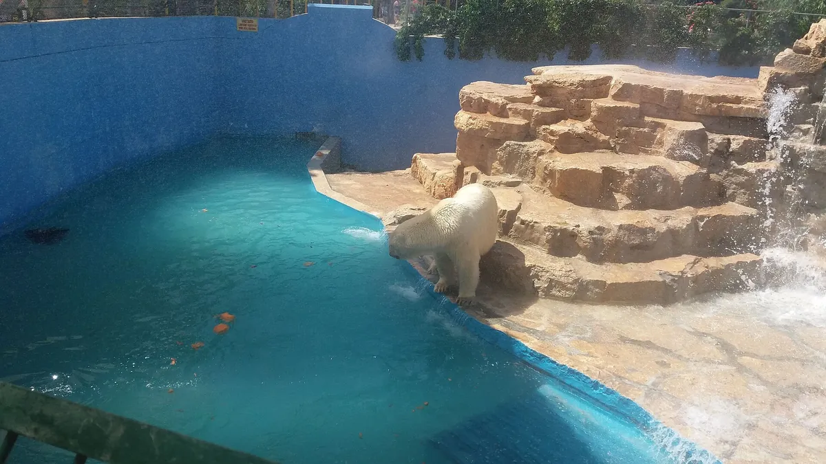 Zoosafari Fasanolandia