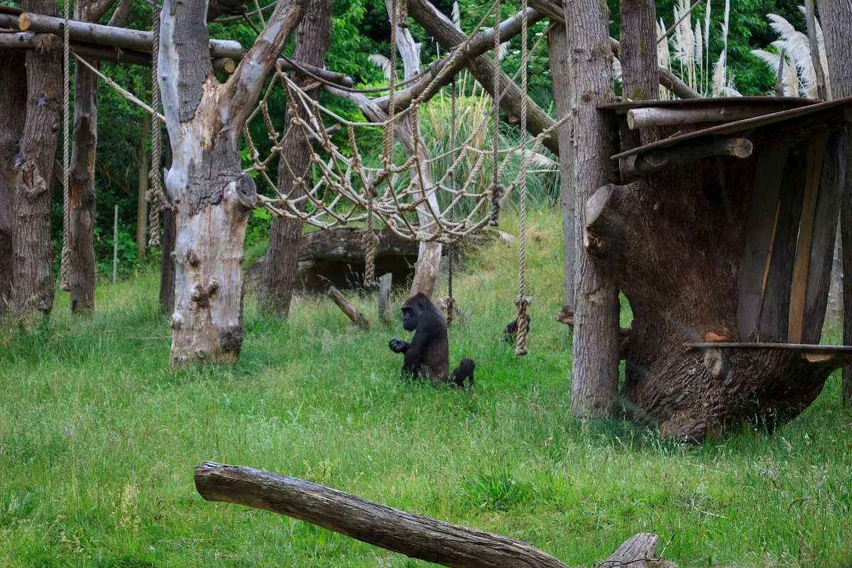 London Zoo