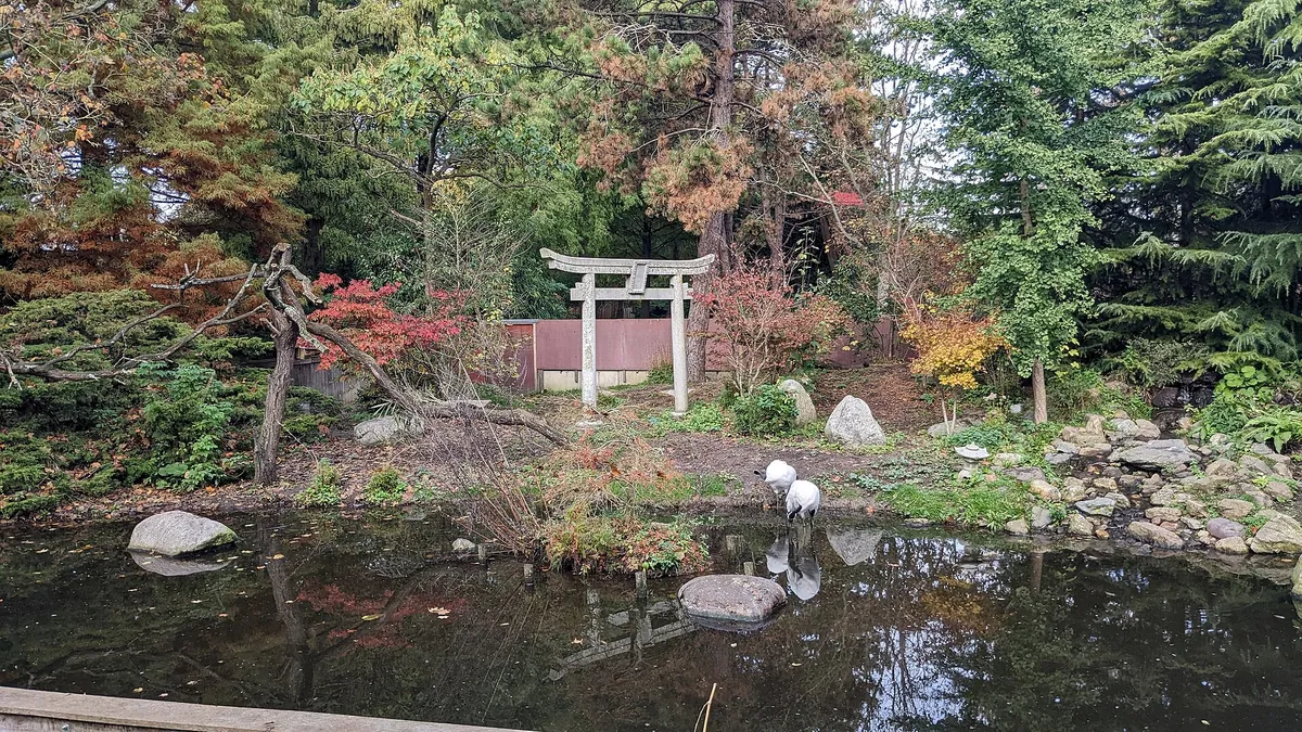 Vogelpark Avifauna