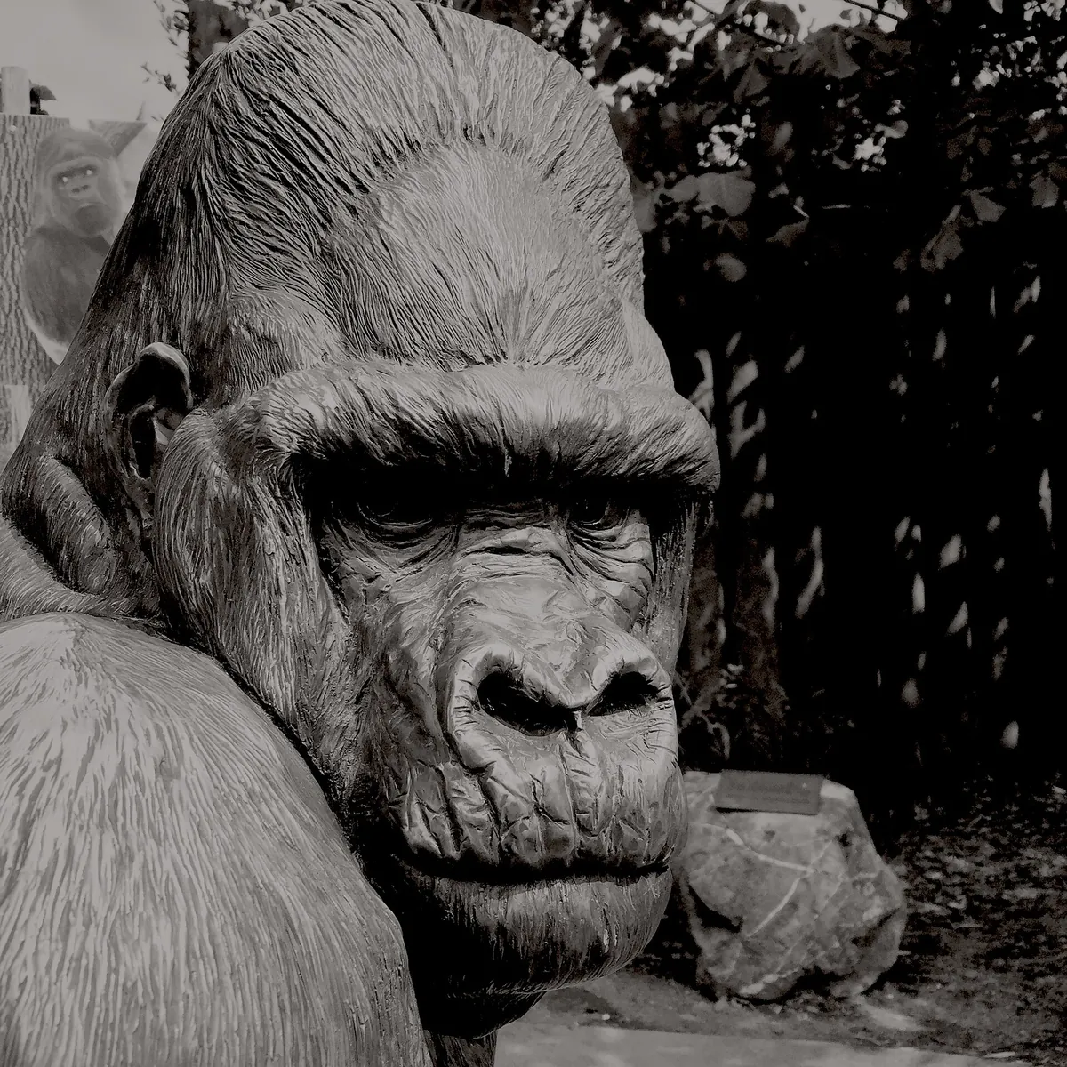 Zoo de Granby