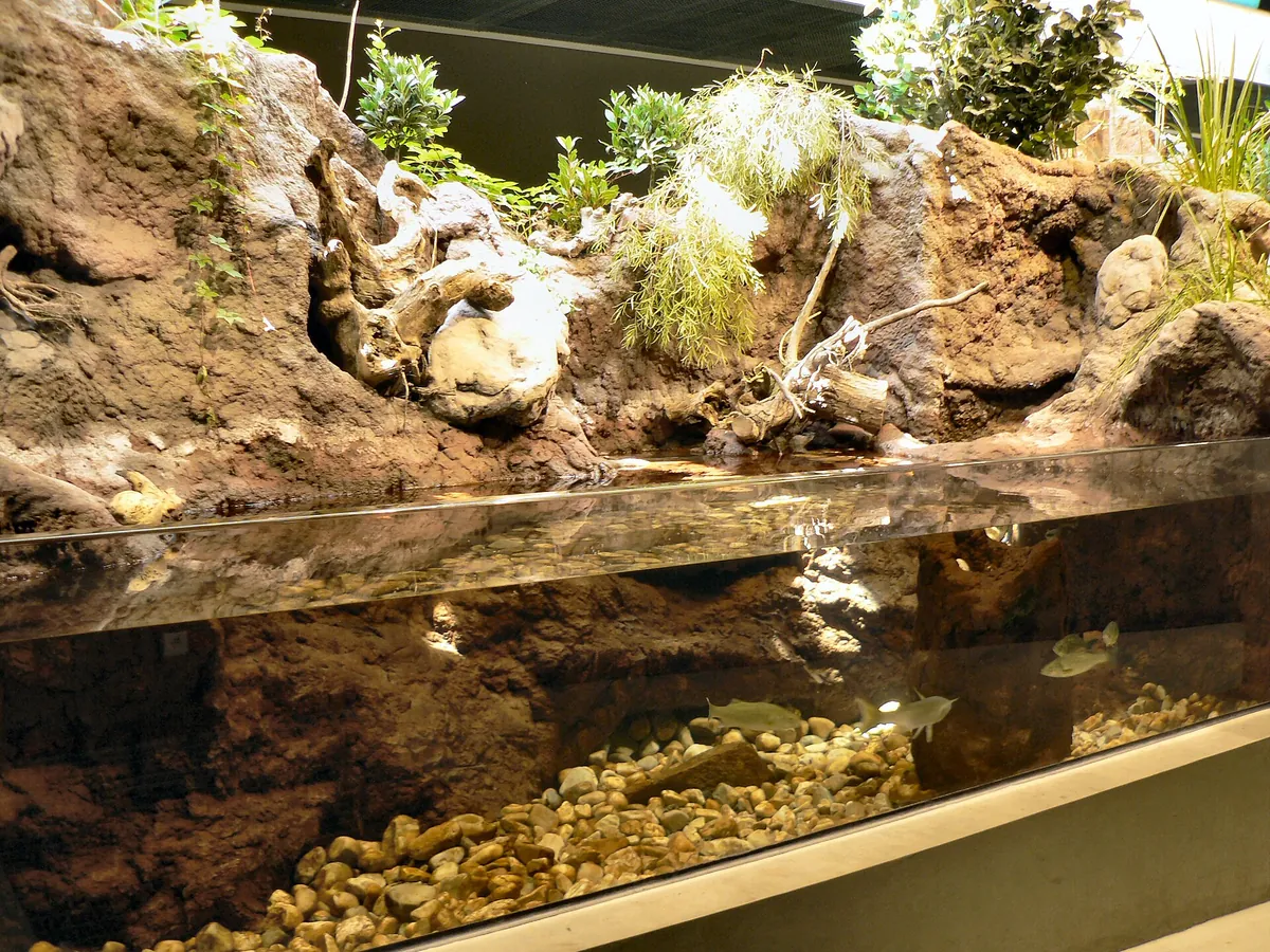 FLUVIÁRIO DE MORA
