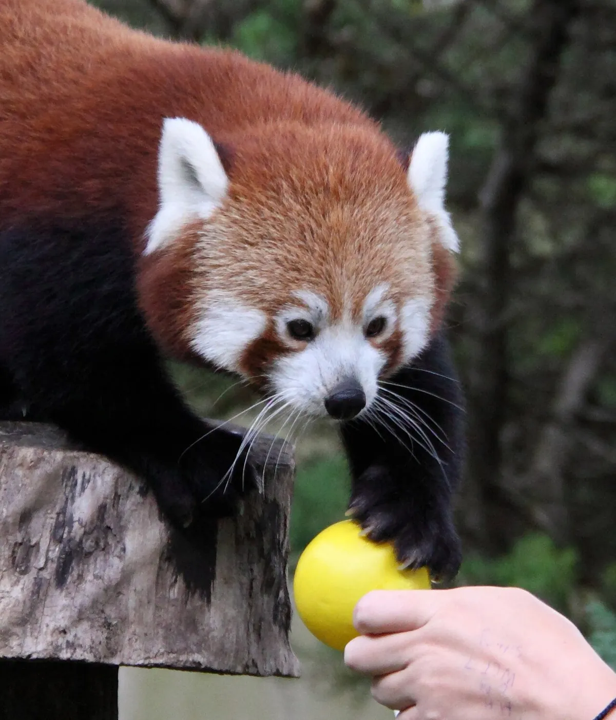 Paradise Wildlife Park