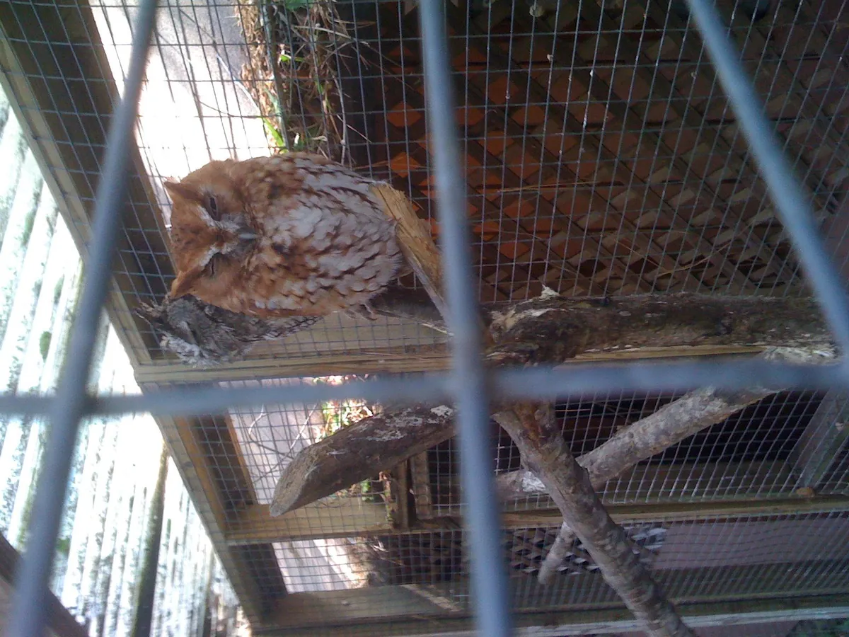 Ellen Trout Zoo