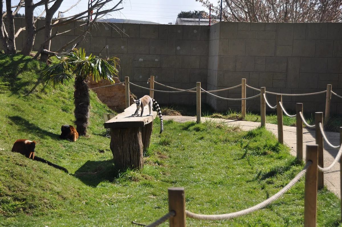 Amazon World Zoo Park