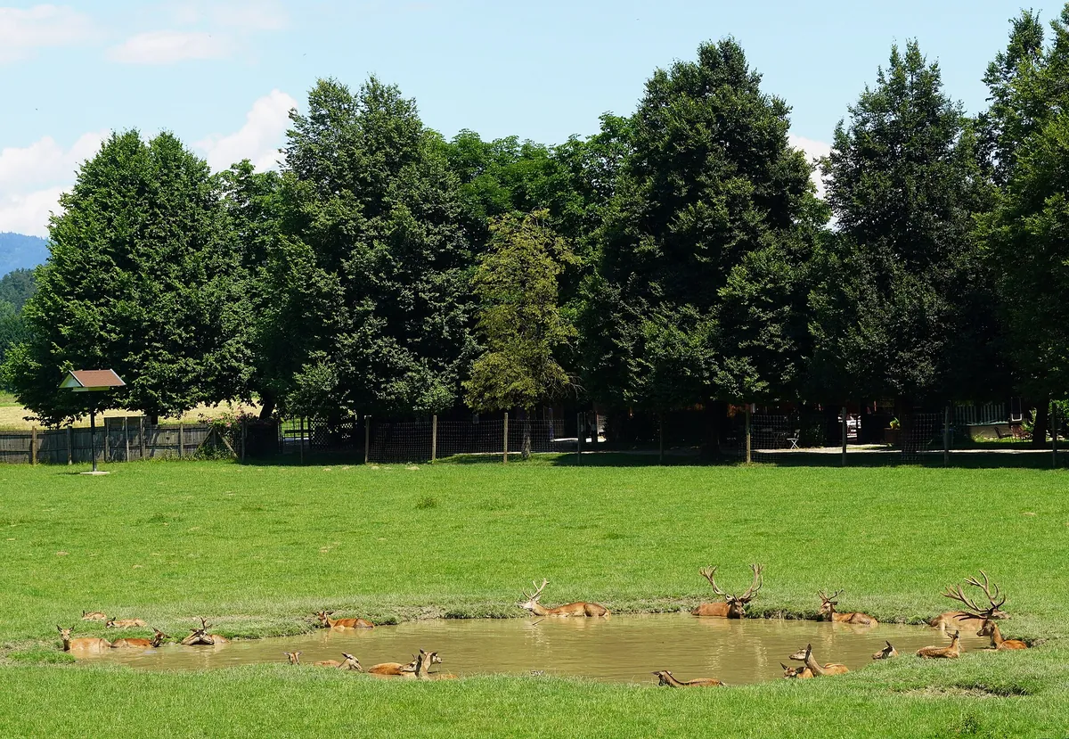 Tierpark Rosegg