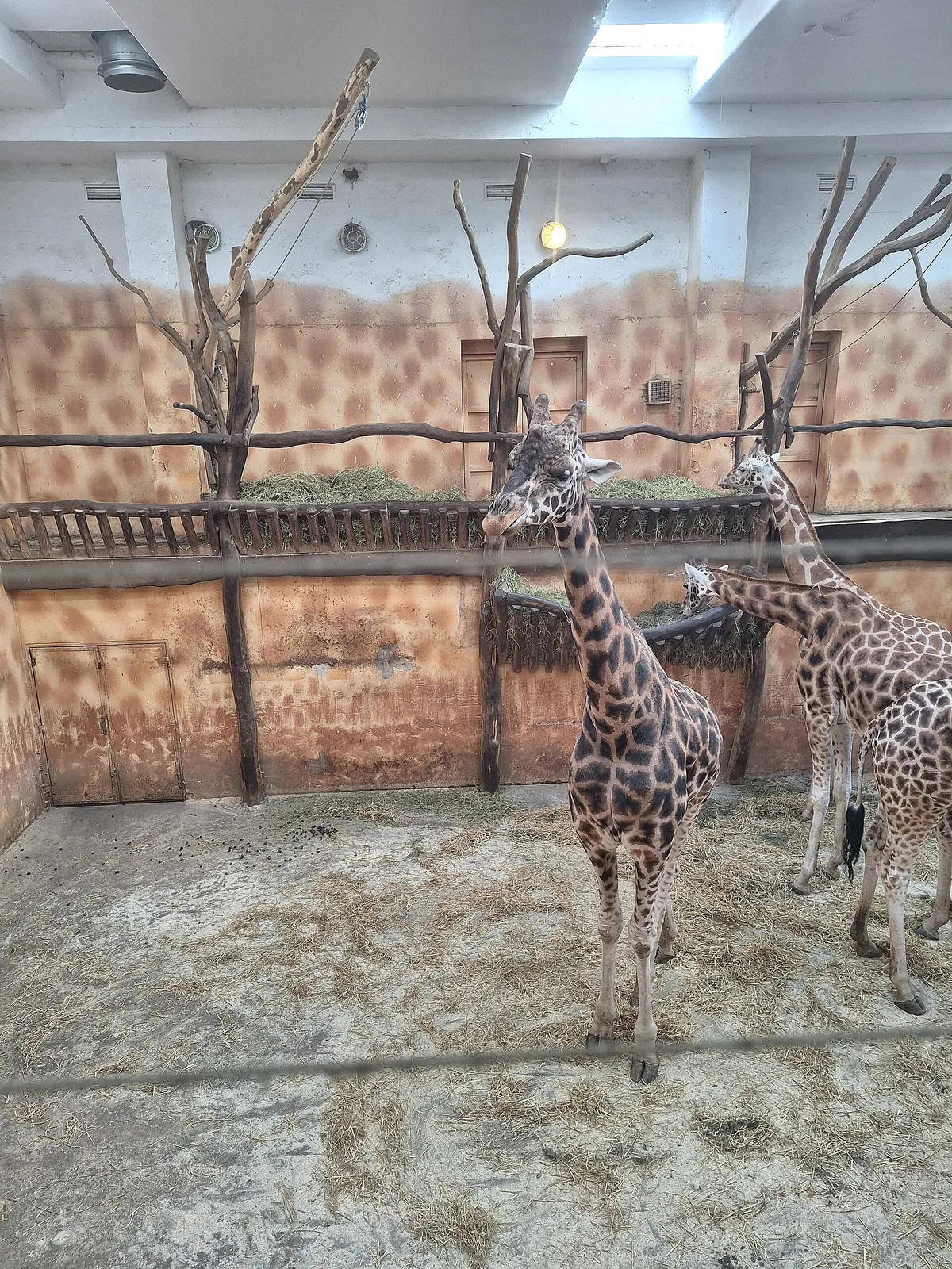 Olomouc Zoo