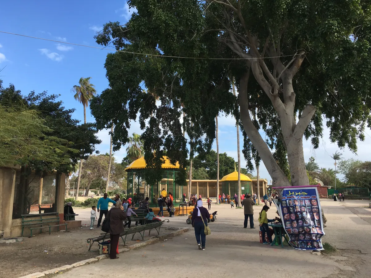 Alexandria Zoo