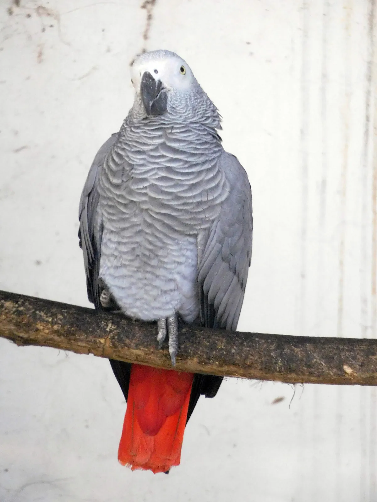 Sakkarbaug Zoological Garden