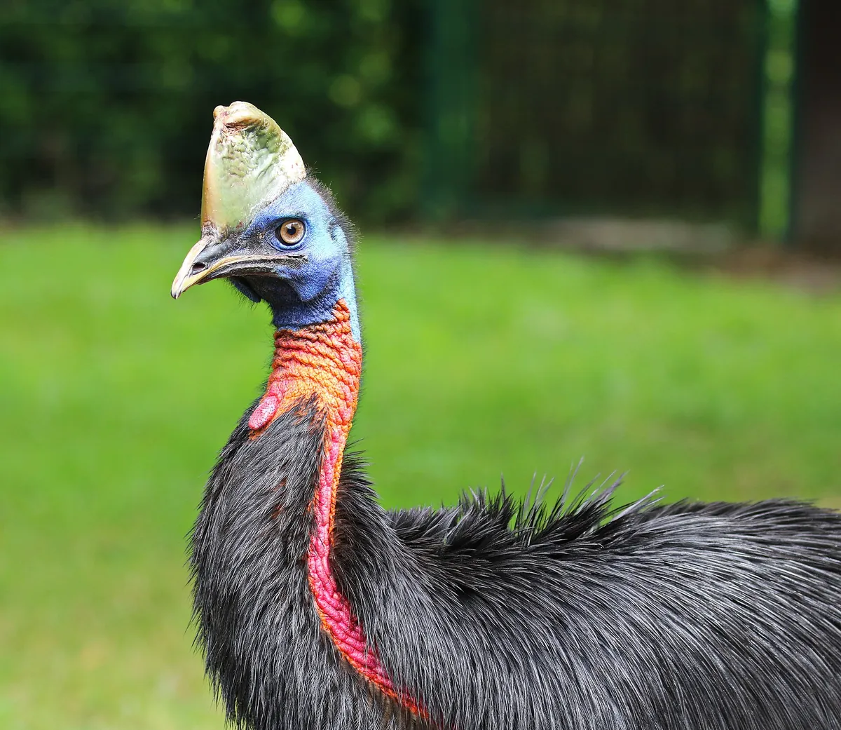Walsrode World Bird Park