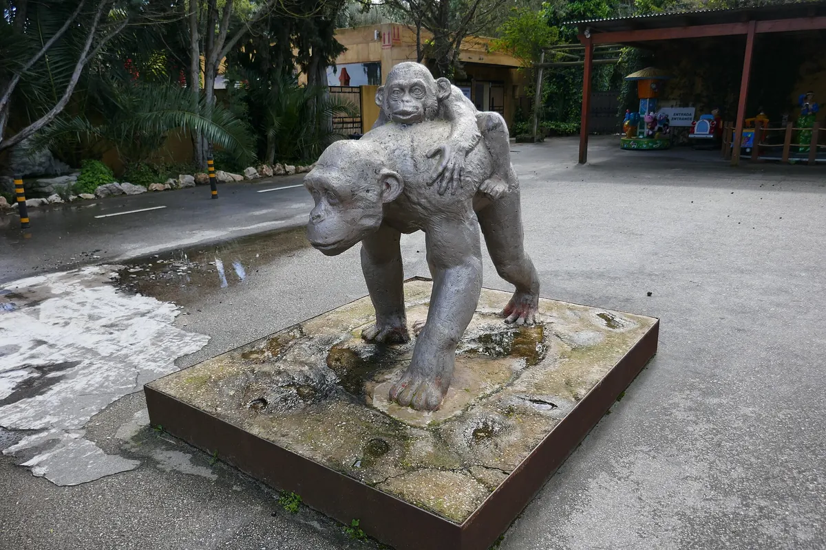 ZOO DE LAGOS