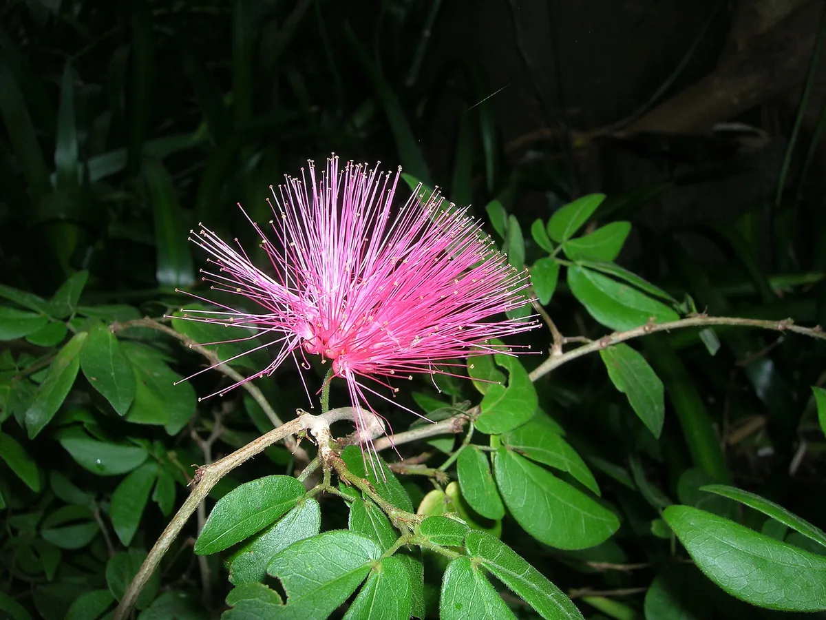 Dallas World Aquarium
