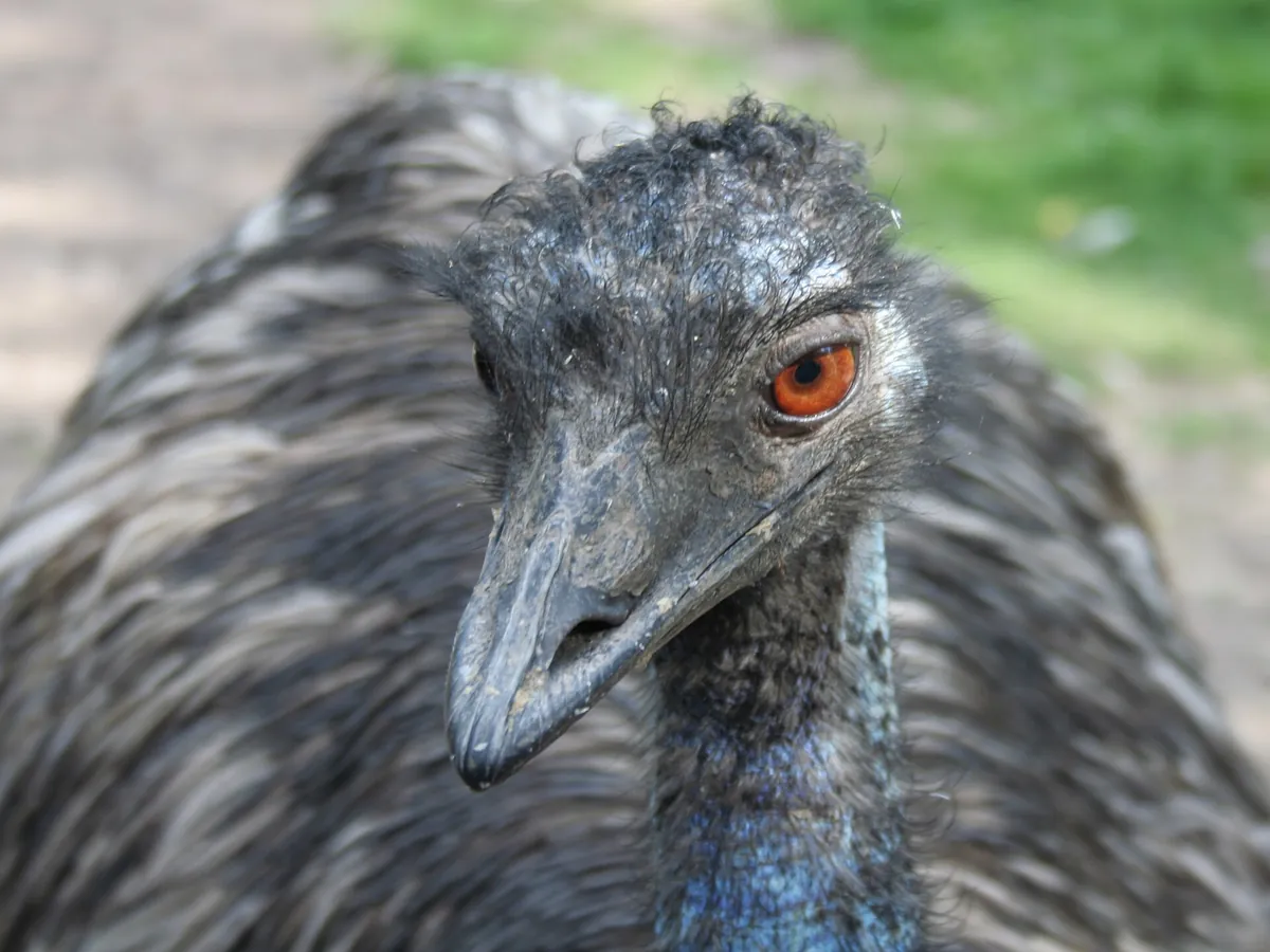 Tierpark Bad Pyrmont