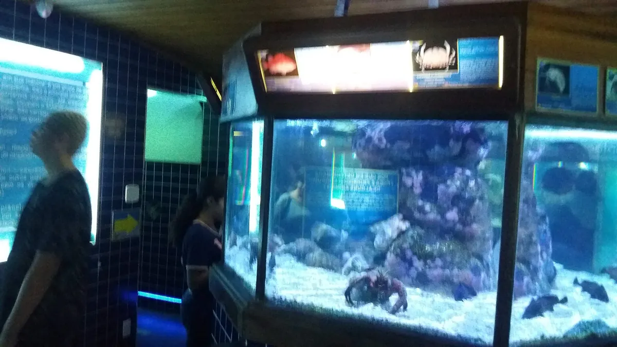 Aquário de Ubatuba