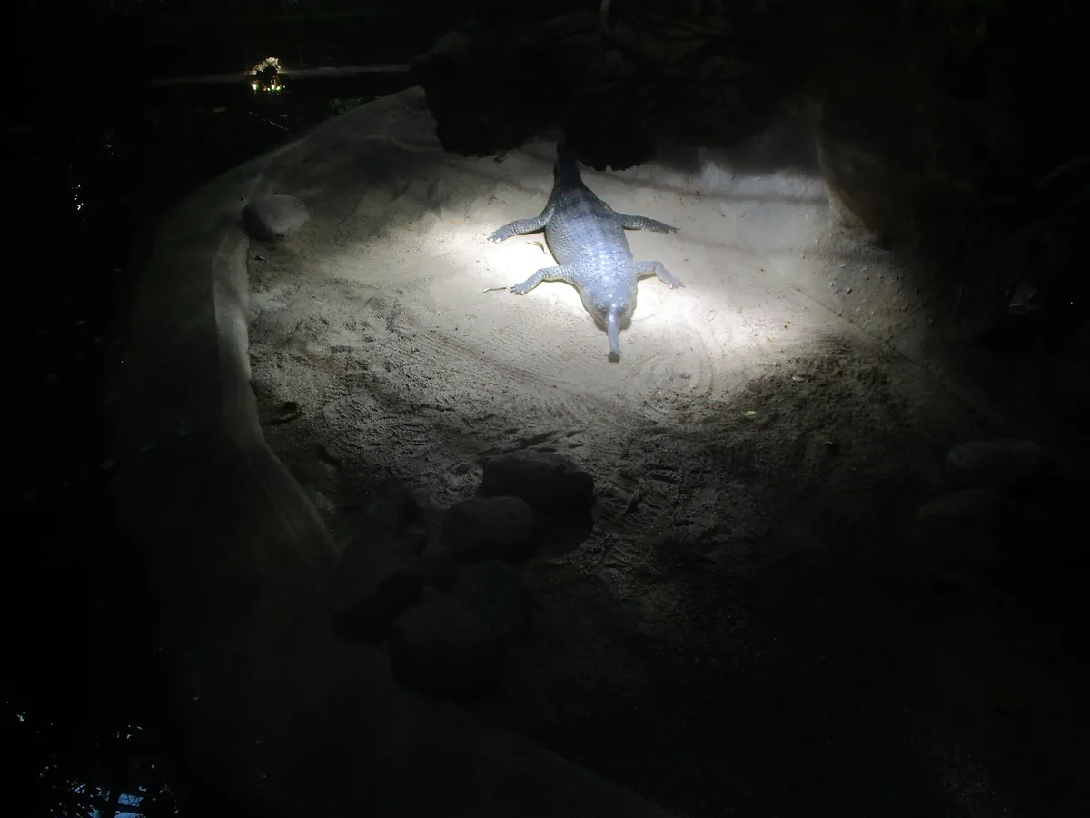Aquarium Berlin