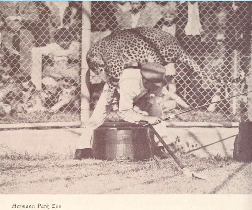 Houston Zoo