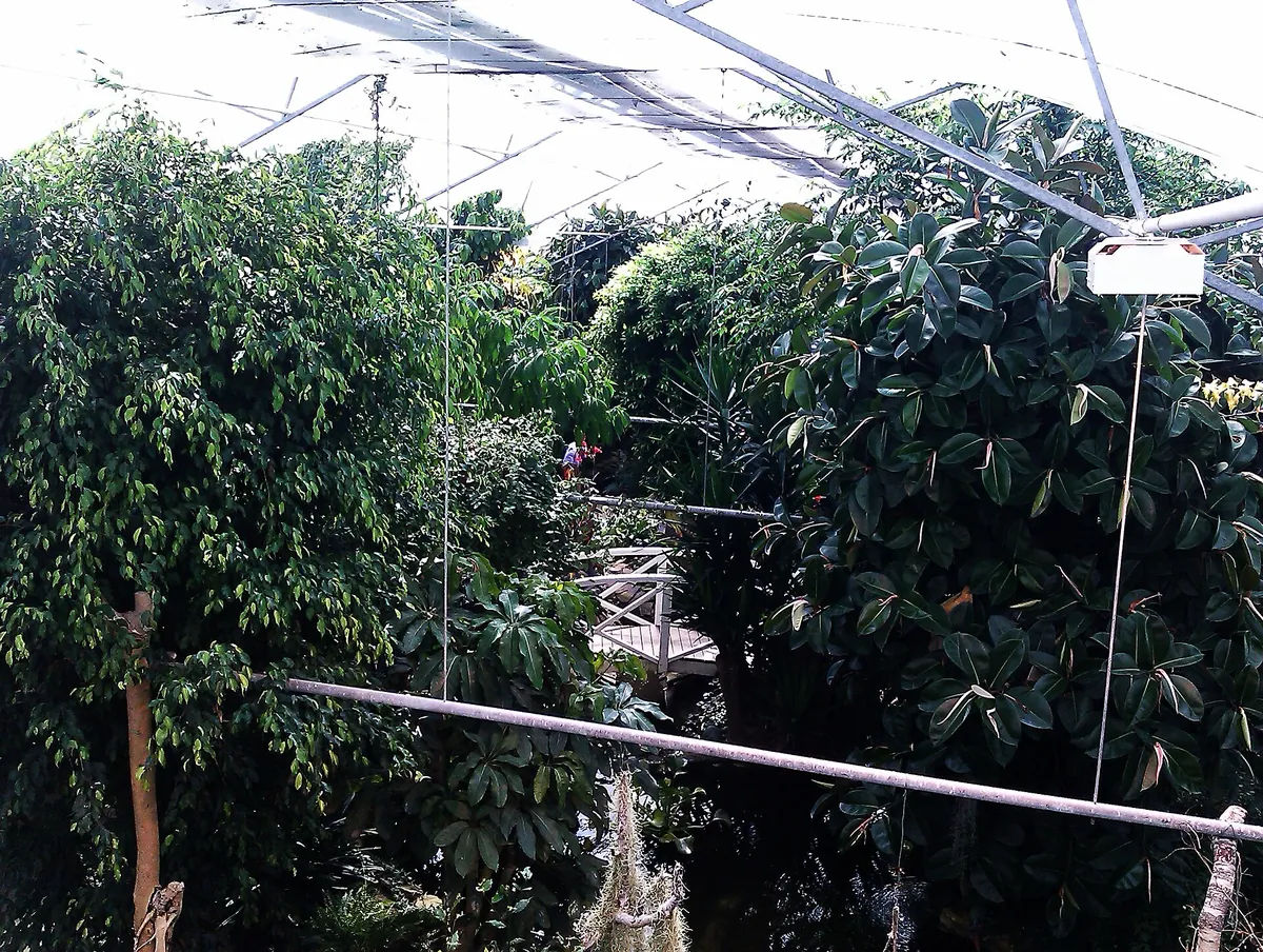 Bornholm Butterfly Park