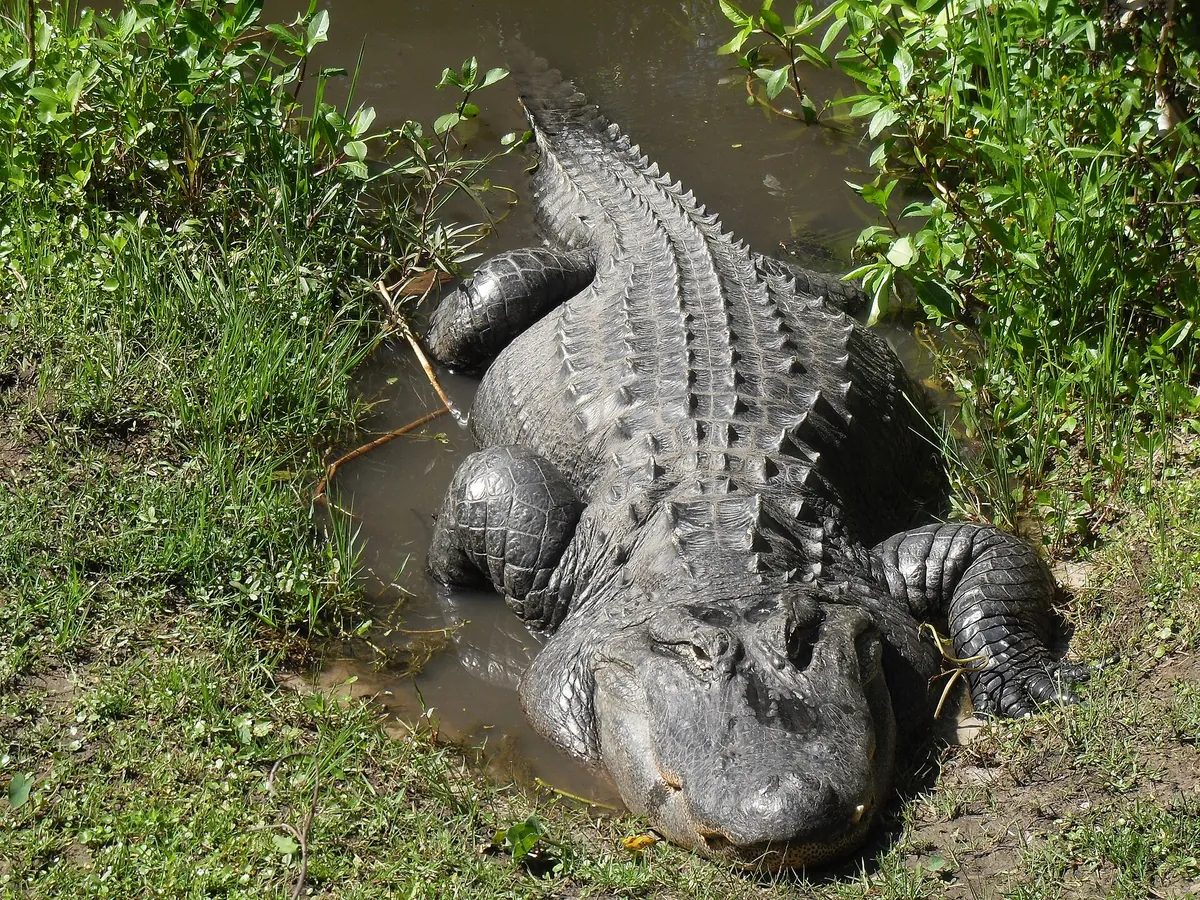 Central Florida Zoo & Botanical Gardens