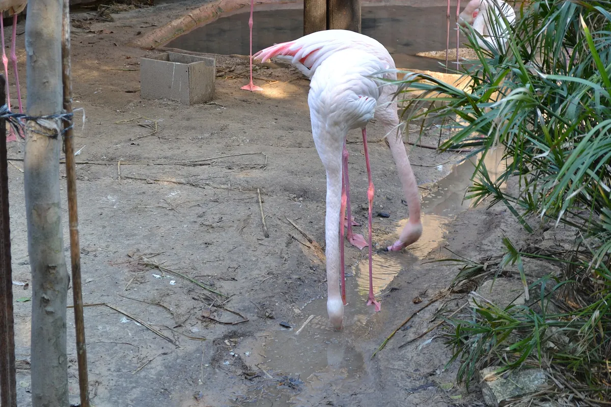 Hai Park Kiryat Motzkin