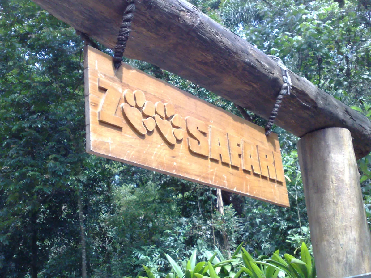 Zoo Safari