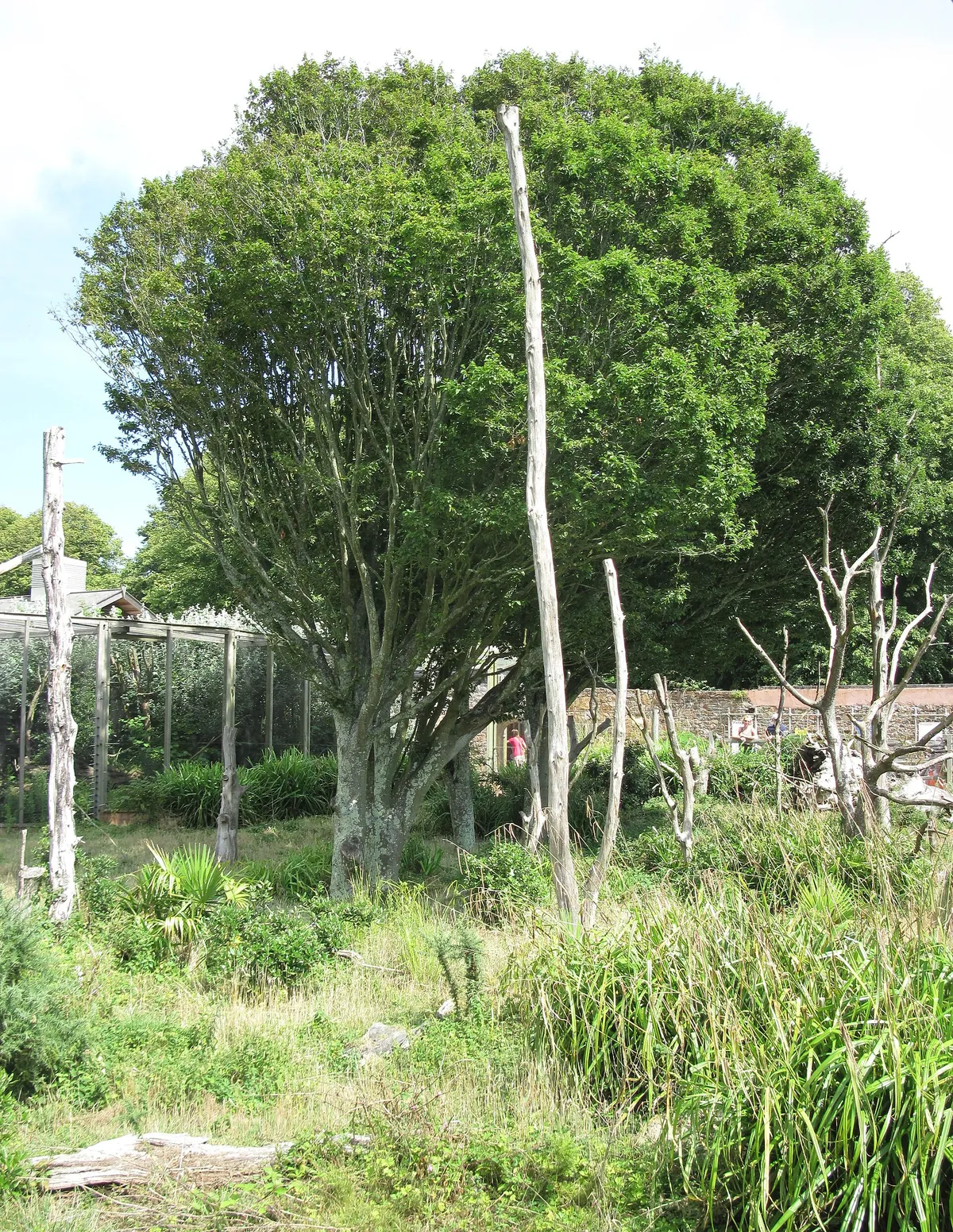 Jersey Zoo