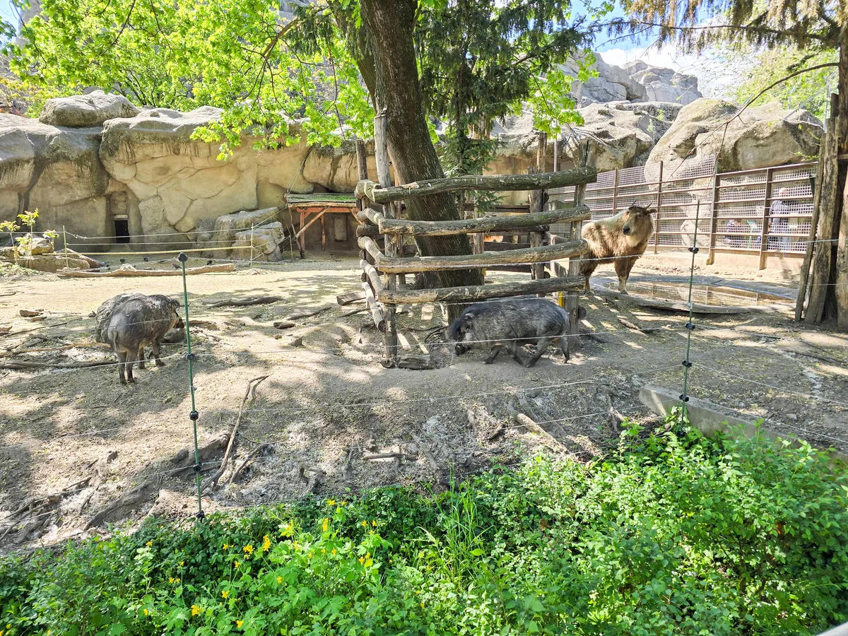Budapest Zoo and Botanical Garden
