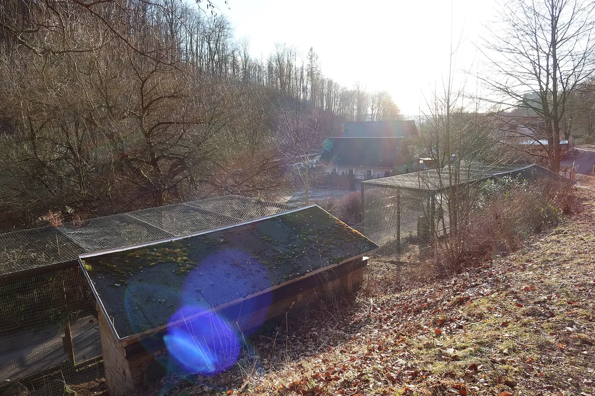 Tierpark Suhl
