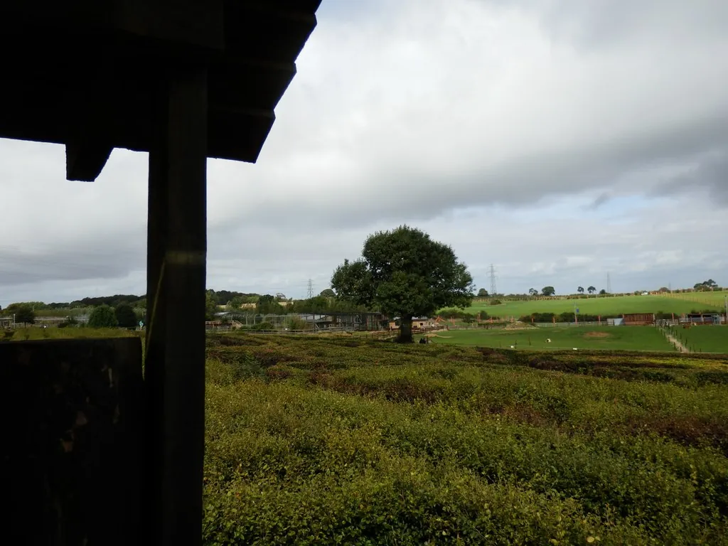 Noah's Ark Zoo Farm