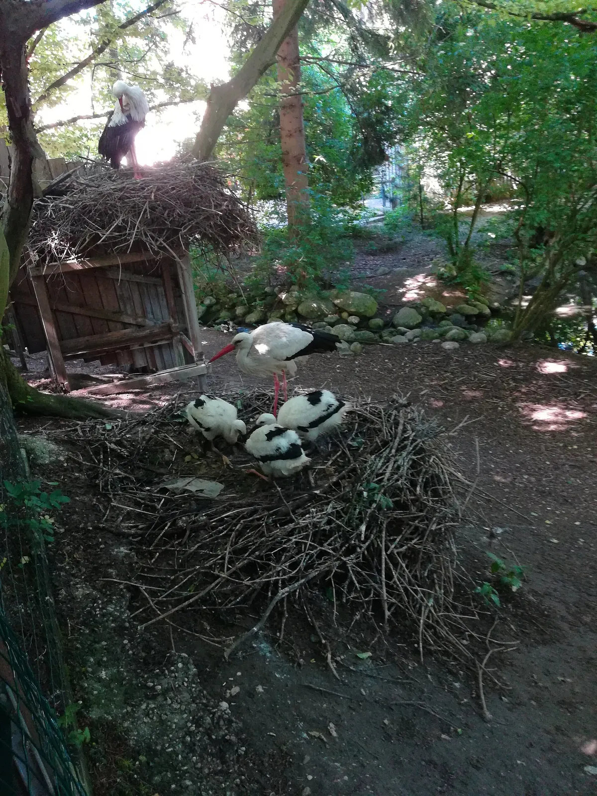 Tiergarten Wels