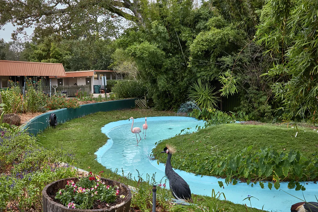Louisiana Purchase Gardens and Zoo