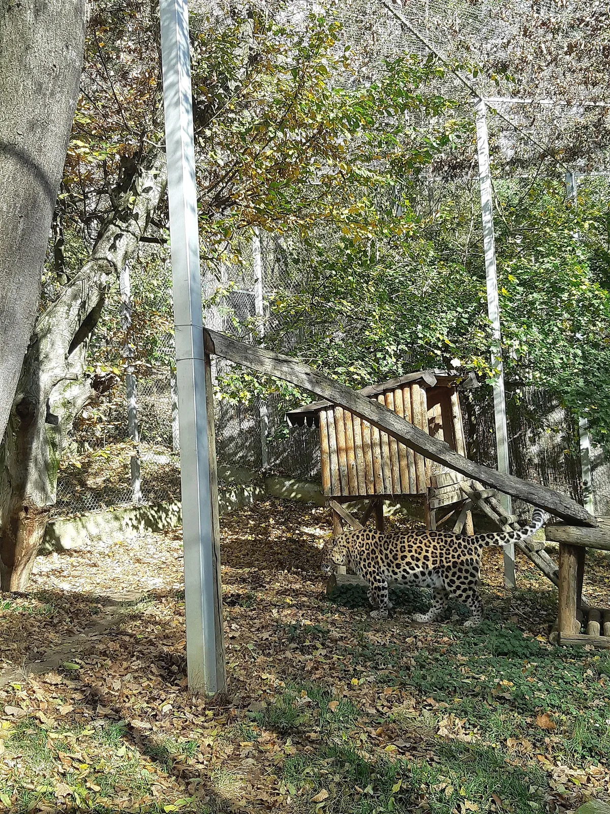 Zoo Sibiu