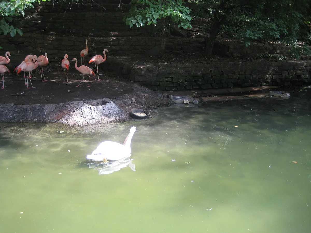 John Ball Zoo