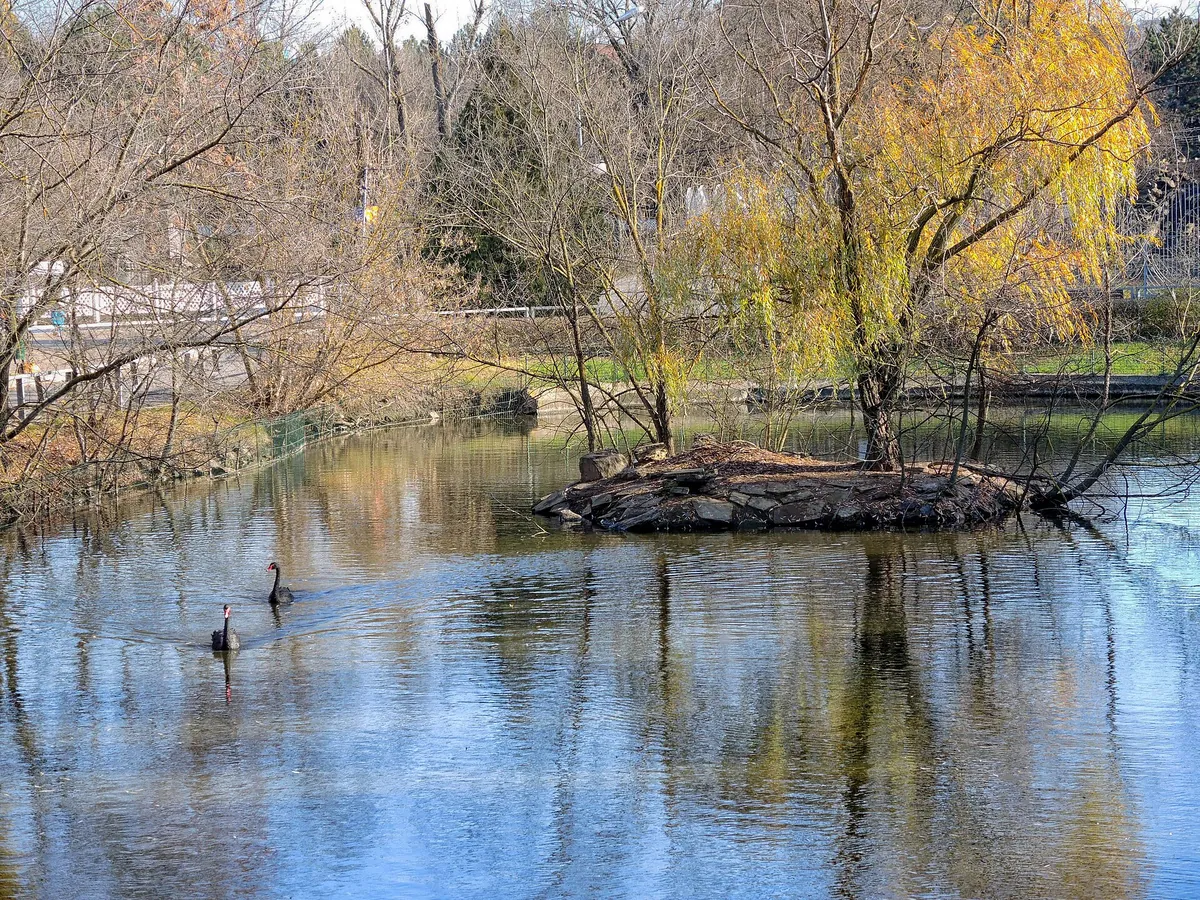Rostov Zoo