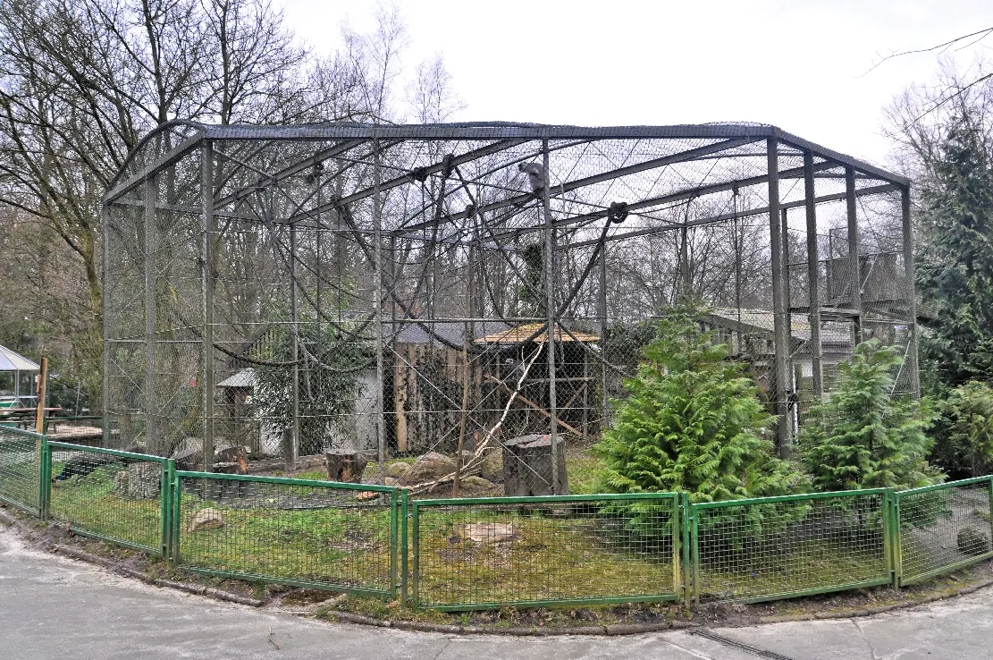Wingster Waldzoo