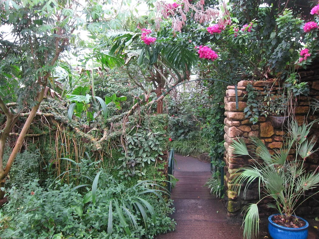 Stratford Butterfly Farm
