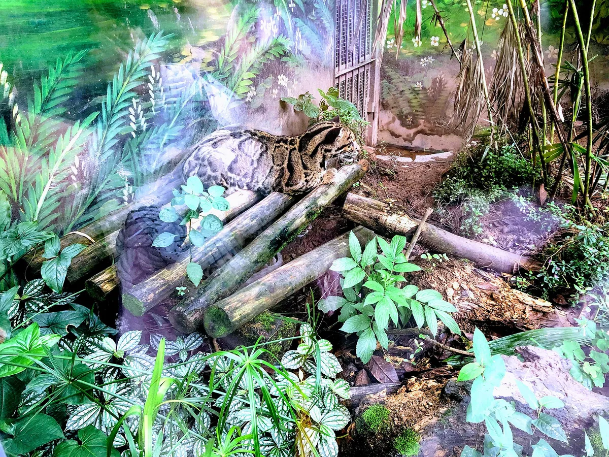 Chongqing Zoo