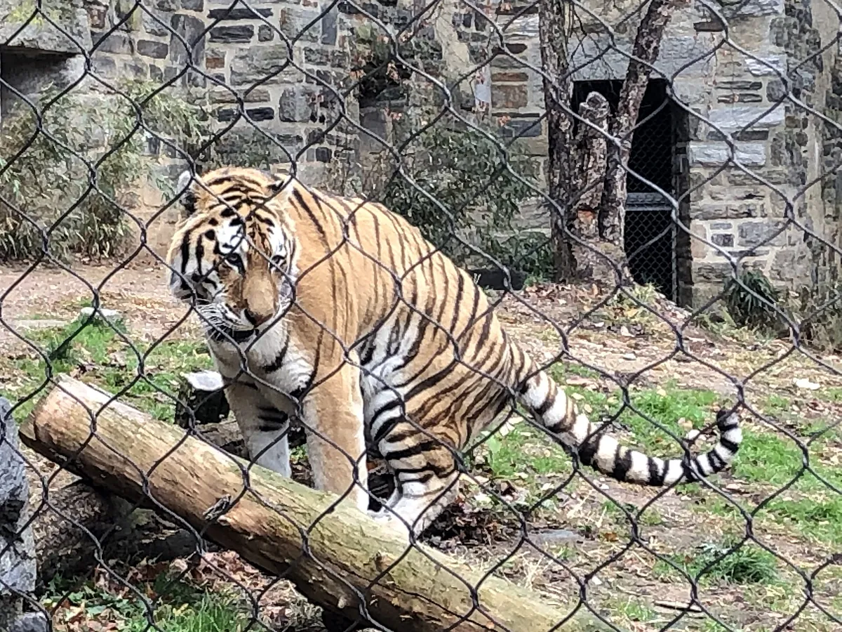 Philadelphia Zoo