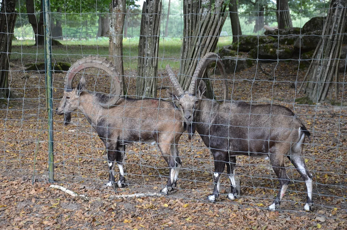 Haute Touche Zoological Park