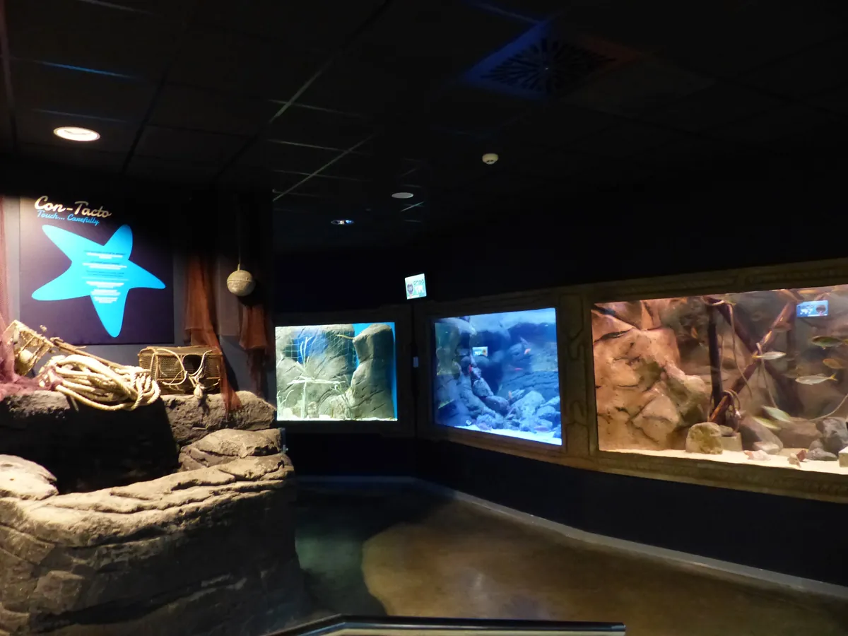 ACUARIO DE SEVILLA