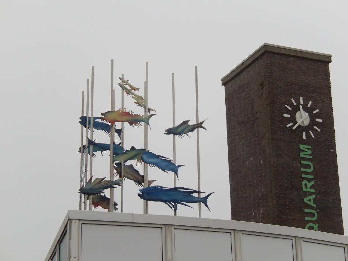 Aquarium Wilhelmshaven