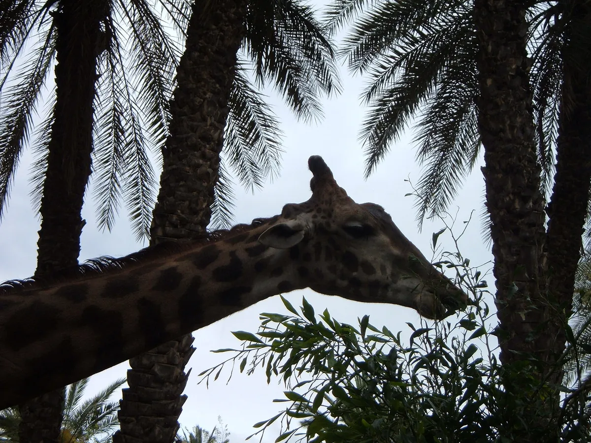 Hai Park Kiryat Motzkin