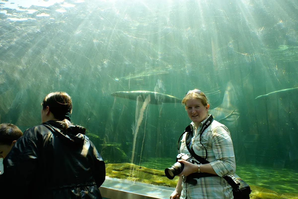 Colchester Zoo