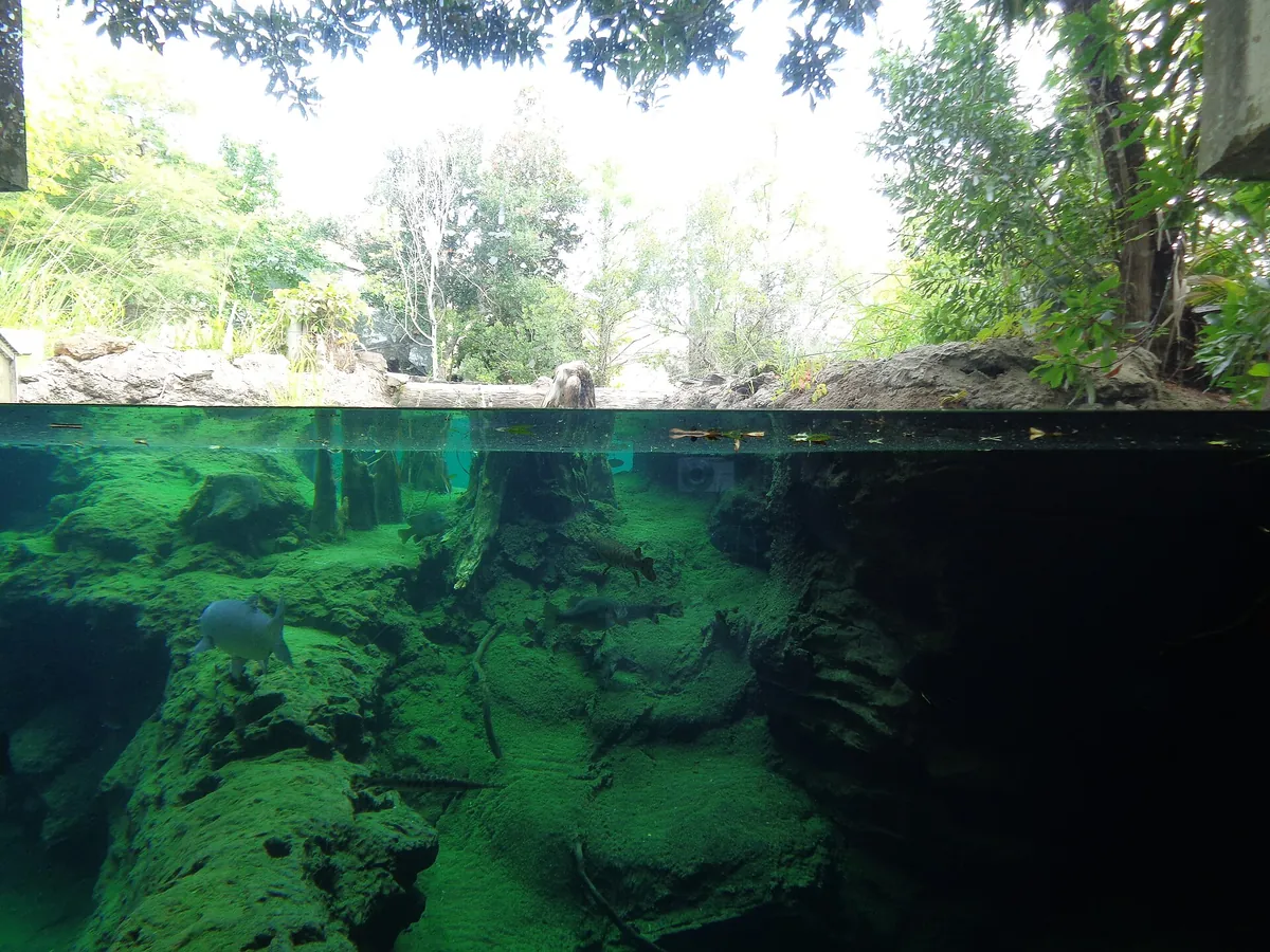 Flint RiverQuarium