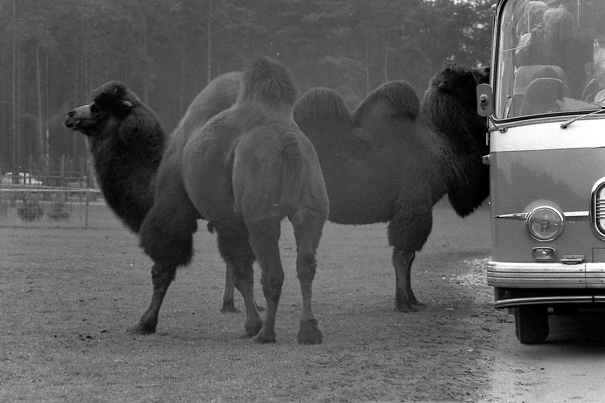 Safariland Stukenbrock