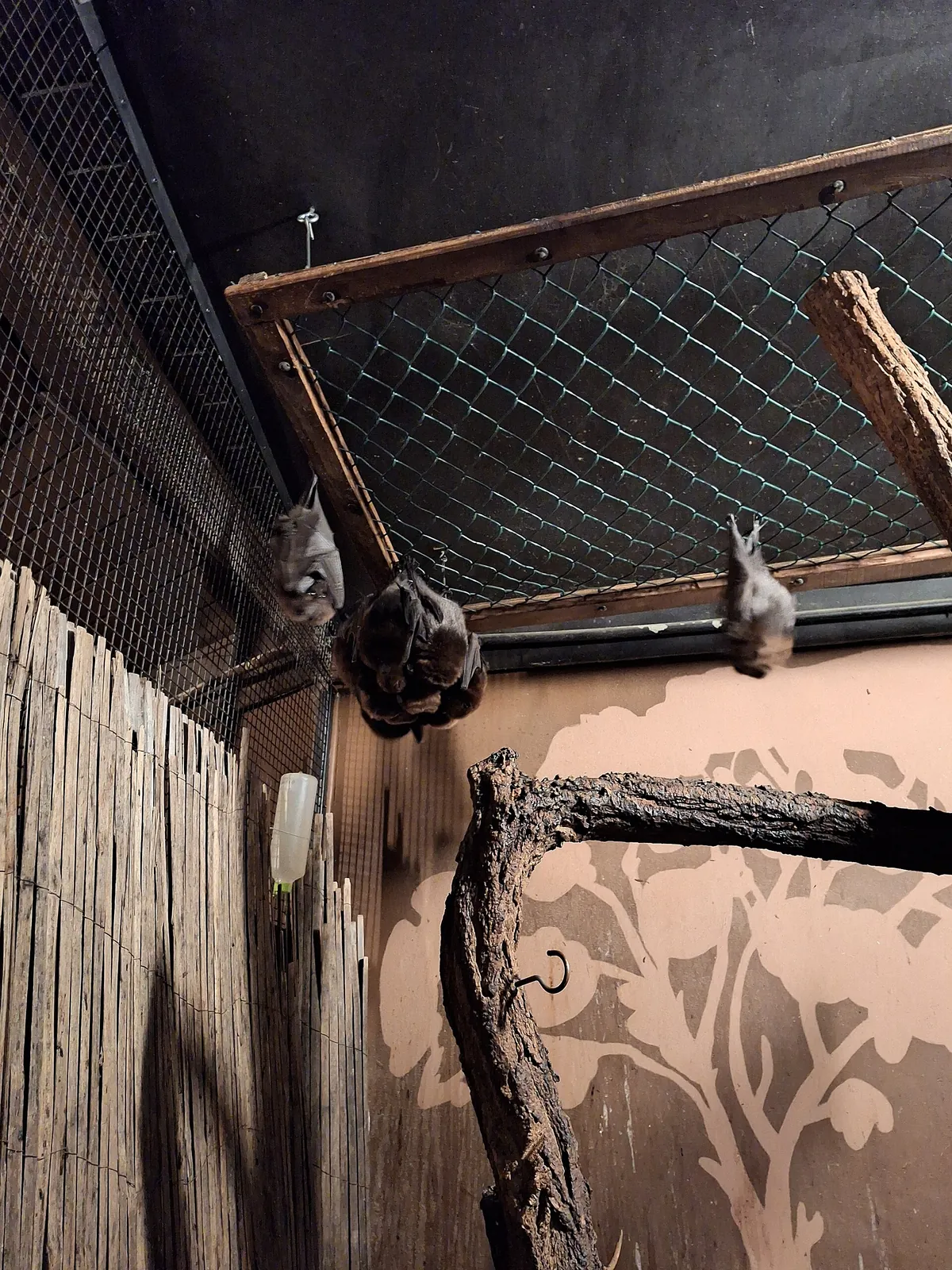 Olomouc Zoo