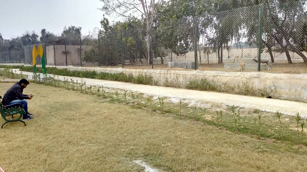 Rohtak Zoo