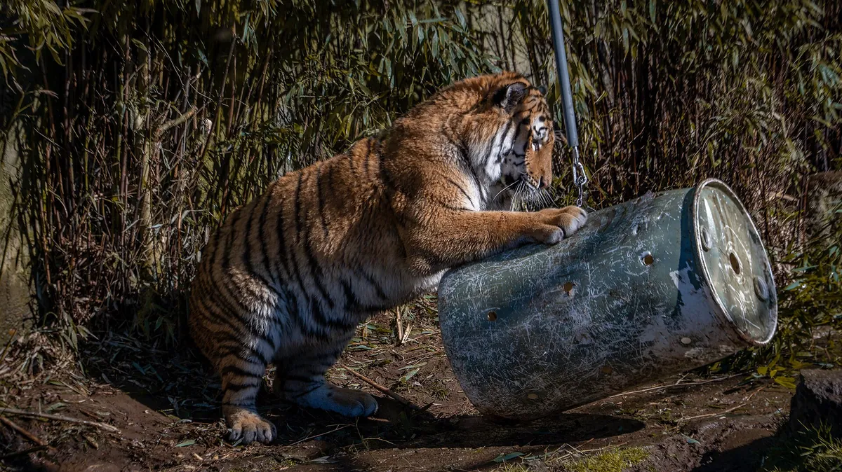 Oregon Zoo