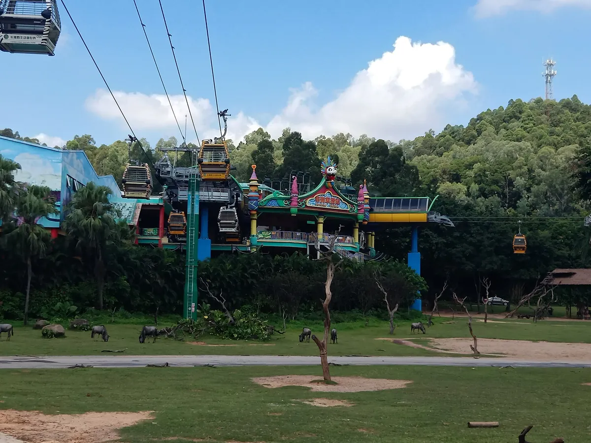 Chimelong Safari Park